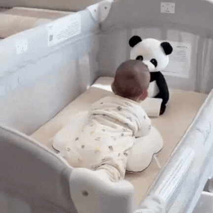 Peluche Panda Escondidas · Se esconde, aparece y habla